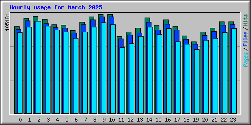 Hourly usage for March 2025